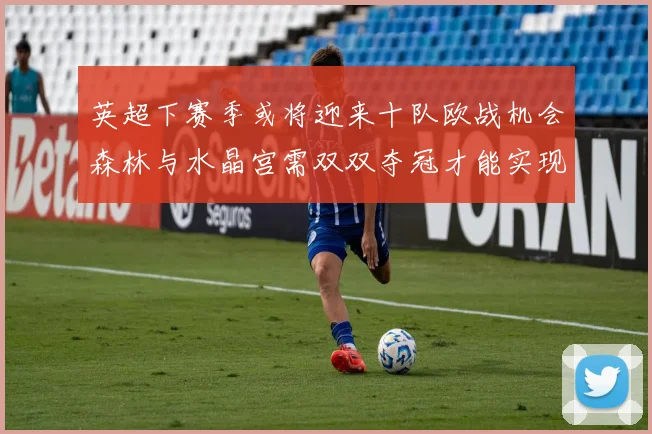 英超下赛季或将迎来十队欧战机会森林与水晶宫需双双夺冠才能实现